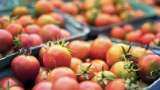 Government says tomato prices will cool down in next 15 days normalise in a month