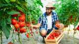 what is organic farming and how to do it, why organic vegetables and fruits are so costly