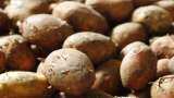 India allows potato imports from Bhutan  without any license for one more year till June 2024