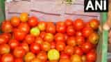 Tomato Price rise till 150 per kg know UP Bihar  Delhi jharkhand and tamilnadu latest mandi price 