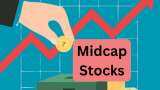 Midcap Stocks Camlin Fine Sciences share price Anupam Rasayan Sona BLW Precision will give up to 30 percent return know target price