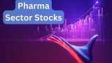 Pharma sector stocks likely to report Healthy result in Q1 know target price Zydus Lifesciences Cipla and Sun Pharma