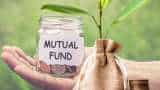 Equity mutual funds seen 8637 crore inflow in June 2023 AMFI data shows investors bullish on Small cap funds details