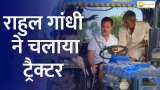 हरियाणा: राहुल गांधी ने सोनीपत में किसानों से मुलाकात की, ट्रैक्टर चलाया, बीज बोए
