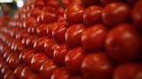 Tomatoes Wholesale Prices Come Down to 29 percent in Delhi NCR know current rates