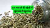 farmers can earn huge money by cultivation of fennel seed farming saunf ki kheti