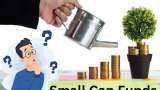 Small Cap Funds know how much investment should be in this category greed may destroy you