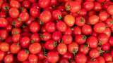 Paytm E-commerce partners with NCCF and ONDC to sell tomatoes at Rs 70 per kg in Delhi-NCR