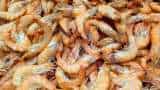 India urges EU to allow shrimp imports reduce inspection sampling frequency