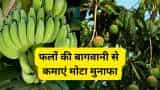 Farmers to start farming of mango banana papaya to get bumper subsidy by bihar government check details