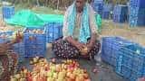 Andhra Pradesh based Farmers Earn Three crore rupees by selling tomatoes