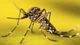 Dengue malaria outbreak spread deadly in Uttarpradesh check dengue treament and prevention Home remedie