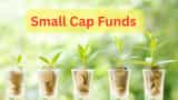 small cap funds clocks highest inflows in July AMFI data says category received highest inflows among all equity categories since the last four months