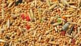 MSPs of coarse grains rise by 100-150 percent between 2014-15 and 2023-24