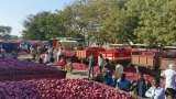 Government Mobile Vans Selling Rs 25 Per Kg Onion in Delhi check locations 