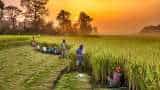 agri business idea earn good money by become a seed distributor bihar government giving golden opportunity