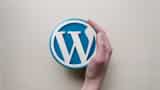 WordPress Announces selling 100-year domain Name Registrations what to do check all details
