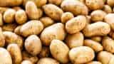 UP potato export  demand increase in abroad farmers may get benefits 