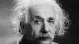 Einstein Brain on sale chinese e commerce portal taobao selling under 1 yuan see viral news