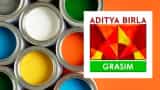Aditya Birla Group Big Announcement Grasim Industries to launch its paints business under the brand name Birla Opus stocks jumps