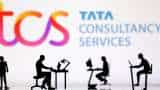 Tata Group Stock TCS market cap biggest gainer last week Sensex jumps 1240 points 