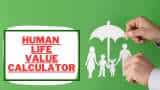 Human Life Value calculator here is how to calculate your return value on term insurance with future income expenses