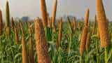 sarkari yojana jwar bajra ragi cultivation on ppp mode in bihar farmers to get upto 80 pc subsidy on seed