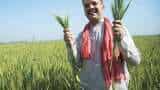 pmfby crops damage due to rain farmers to get insurance claim give information within 72 hours