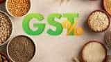 GST Council meeting GST rate cut on millets flour fitment committee recommends EV battery GST cut unlikely