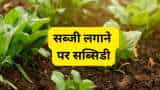 sarkari yojana bihar government is giving subsidy up to 75 pc on vegetable farming online application started