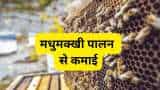 subsidy news bihar government providing up to 90 percent subsidy on bee keeping check details