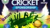 What a coincidence, which company become sponsor of indian cricket team, faces huge losses
