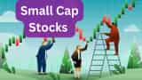 Market Expert Vikas Sethi buy call on small cap stocks Rain Industries, Ramco Industries check short term targets