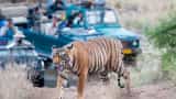 ranthambore best places to explore in dussehra holiday  know timings charges routes and booking details here 