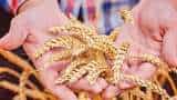Cabinet meeting decision on rabi crop wheat barley chana minimum support price likely to be hiked