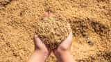 Good news for farmers as union Cabinet approves MSP on Rabi crop wheat masoor dal 7 percent msp