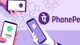 PhonePe Nears rs 3000 Crore Revenue in FY23, know how company earning money