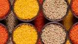 Farmers News Big gift to farmers pulses seeds to be available at 80 percent subsidy