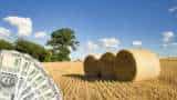Punjab farmers earn lakhs of rupees by selling stubble bales