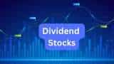 q2 results dividend stock marico declared Interim Dividend of 300 percent profit rise 17 percent