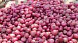 Onion Price Today government to sell onion at Rs 25 per kg in delhi ncr Varanasi Srinagar punjab know locations
