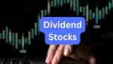 Dividend Stocks Natco Pharma declares second interim dividend q2 profit at rs 369 crore