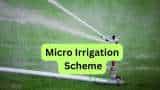 Micro Irrigation Scheme bihar govt providing subsidy of 80 percent on drip sprinkler irrigation