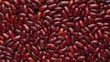 business idea get over 1 lakh income from rajma cultivation know varieties and farming process