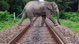 Gajraj software Railways develop AI based software to avoid train collisions with elephants in all elephant corridors