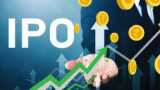 IPOs in 2023 Investors get best return in public issue this year check Upcoming IPOs List 