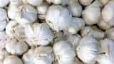 Garlic Price Hike After onion garlic now gets costlier prices hit Rs 400 per kg