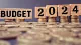 Budget 2024 Easy Hai: What is Subsidy? Know meaning in just a minute latest news