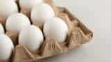 Michaung effect Skyrocketing price of eggs in Kolkata retail markets