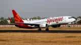 Spicejet is interested in buying out gofirst airline company tells exchanges strategic masterstroke by ajay singh